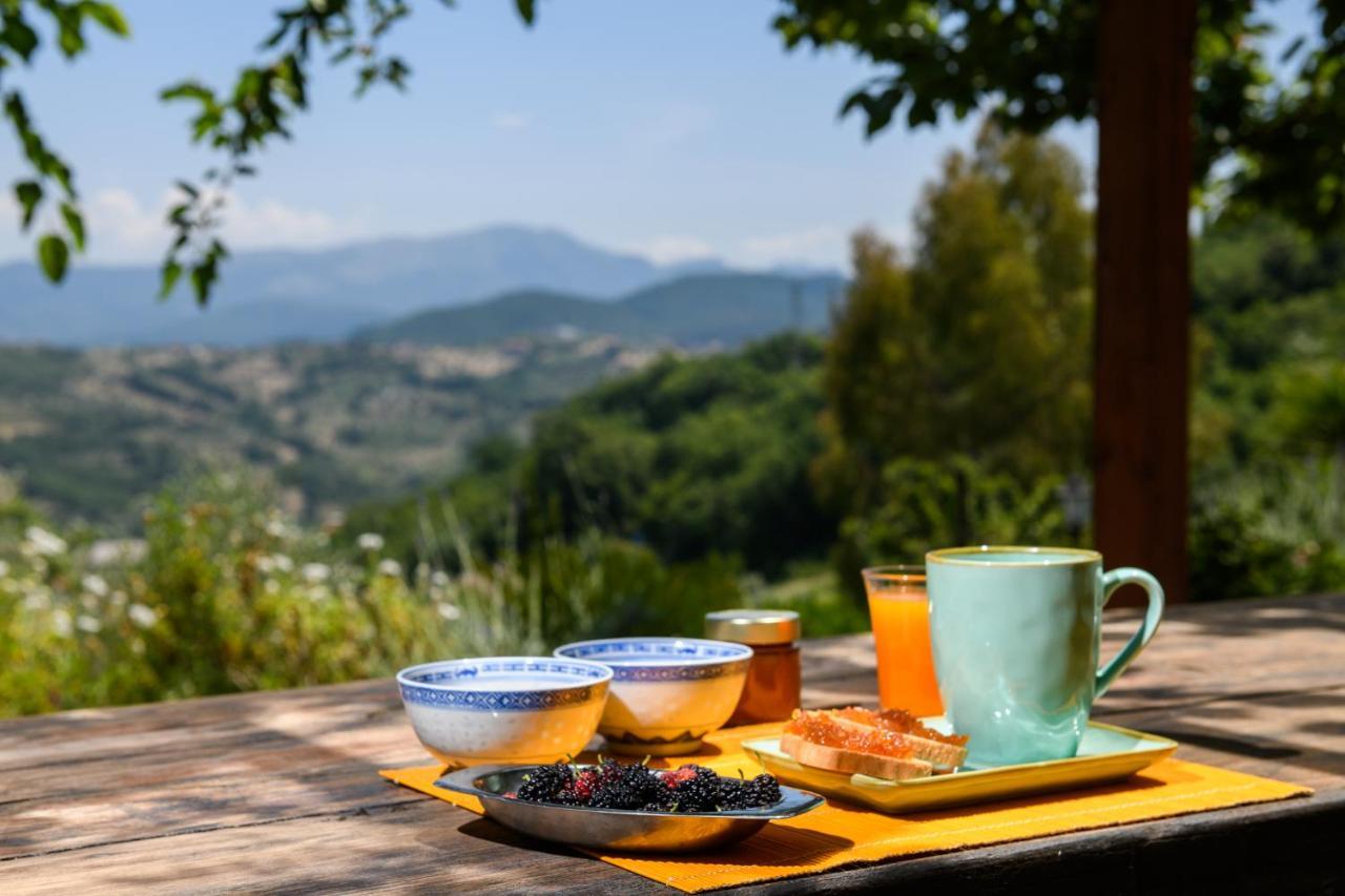Albachiara Ogliastro Cilento