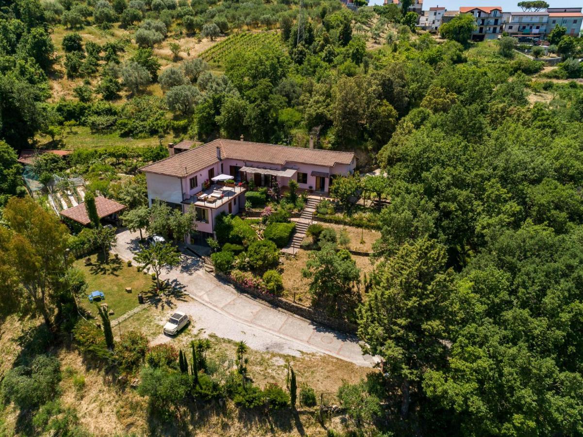 Bed & Breakfast Albachiara
