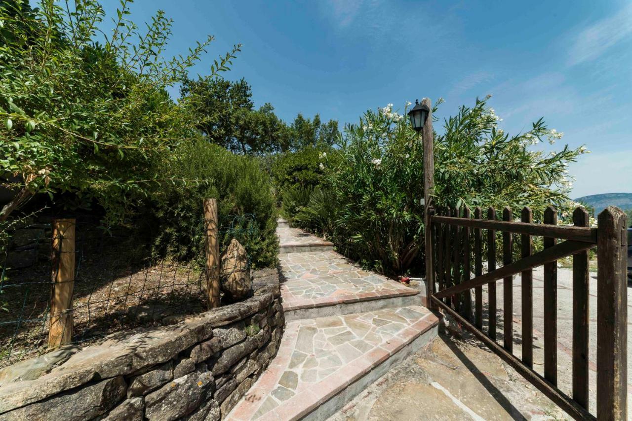 Bed & Breakfast Albachiara 3*