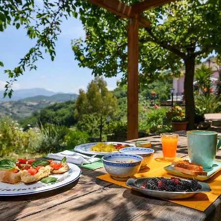 B&B Albachiara Casa Di Campagna Ogliastro Cilento Exterior photo