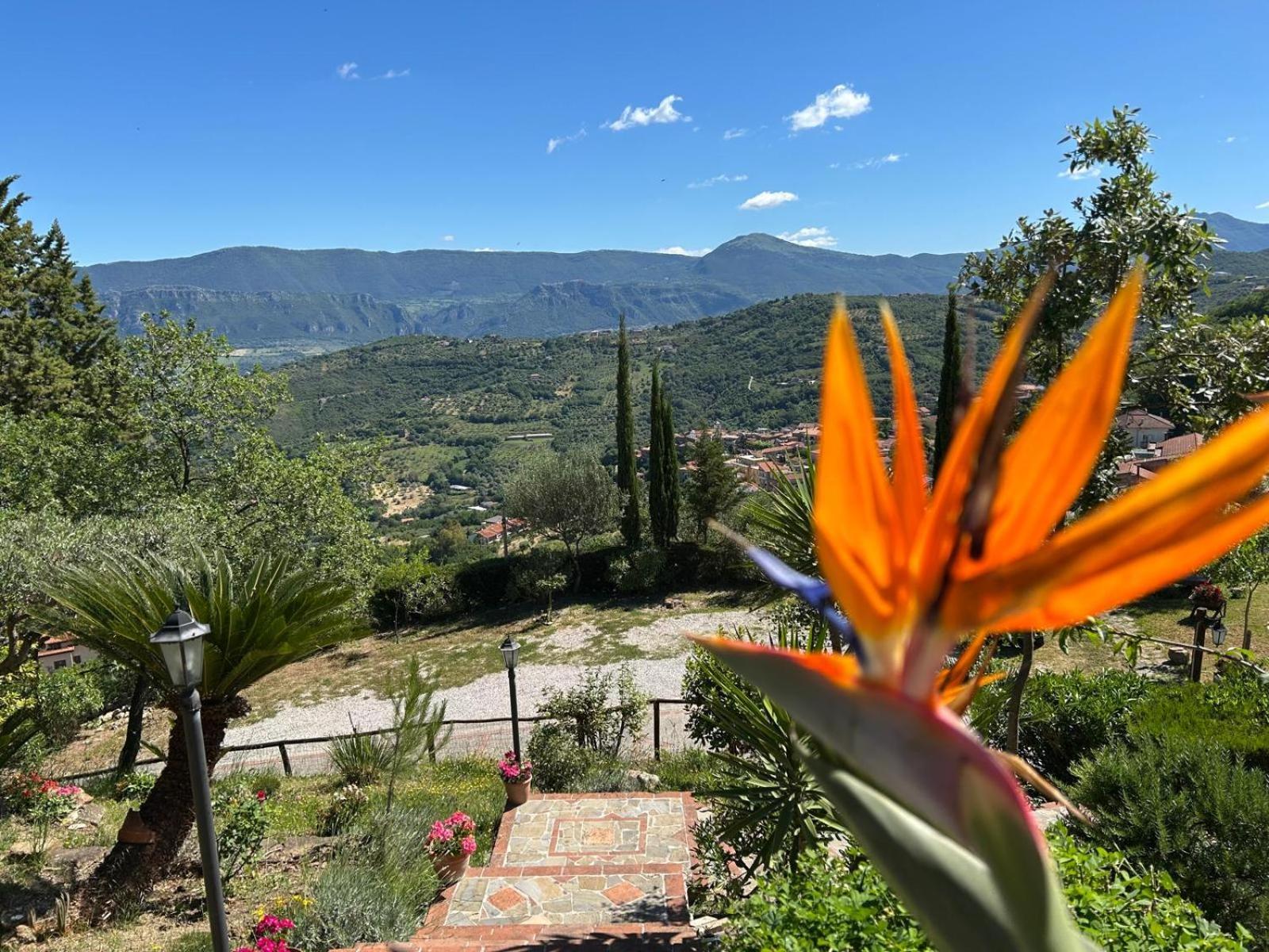 Frühstückspension Albachiara Ogliastro Cilento
