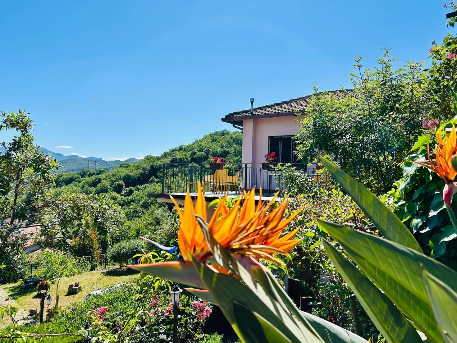 Albachiara 3* Ogliastro Cilento