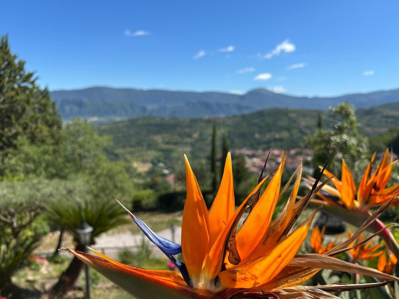 Frühstückspension Albachiara Ogliastro Cilento