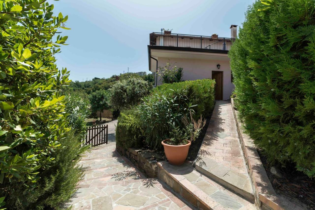 Albachiara